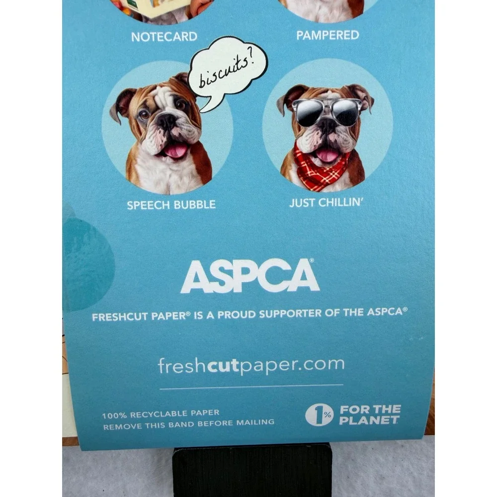 New Freshcut Paper English Bulldog Pop-Up Pup 3D Greeting Card with Accessories
